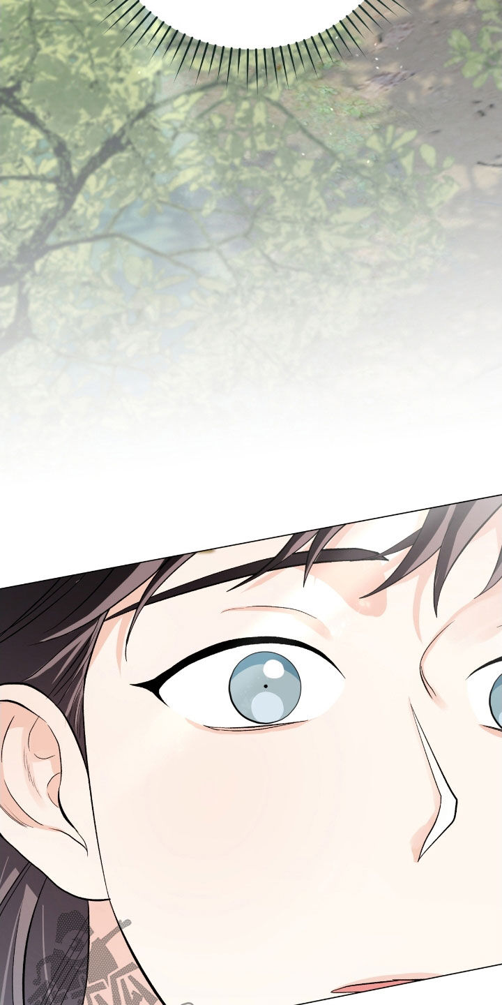 欧文大心脏漫画,第41章：大庄园3图