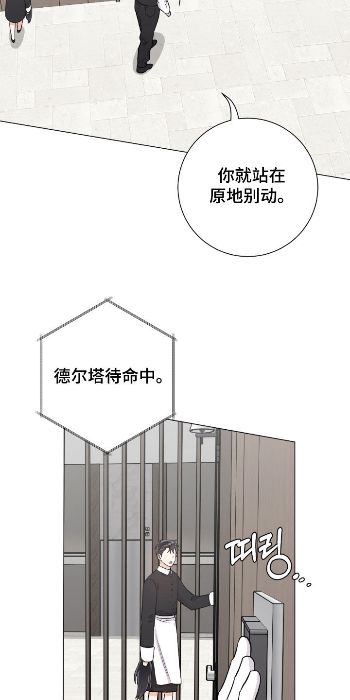 史蒂夫欧文被刺心脏视频漫画,第46章：时机到了2图