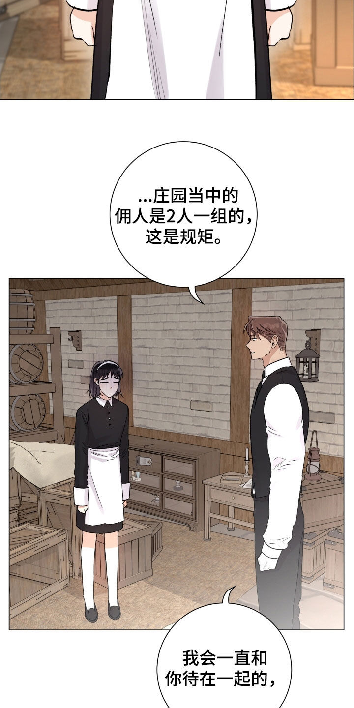 第41章：大庄园1