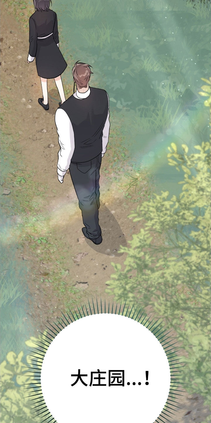 欧文大心脏漫画,第41章：大庄园2图