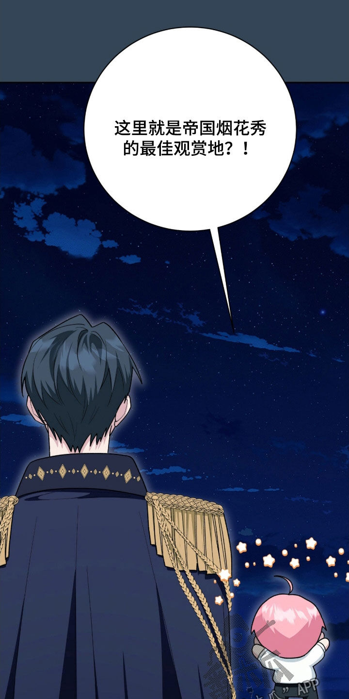 疯批大公的玩偶漫画,第57章：烟花秀4图