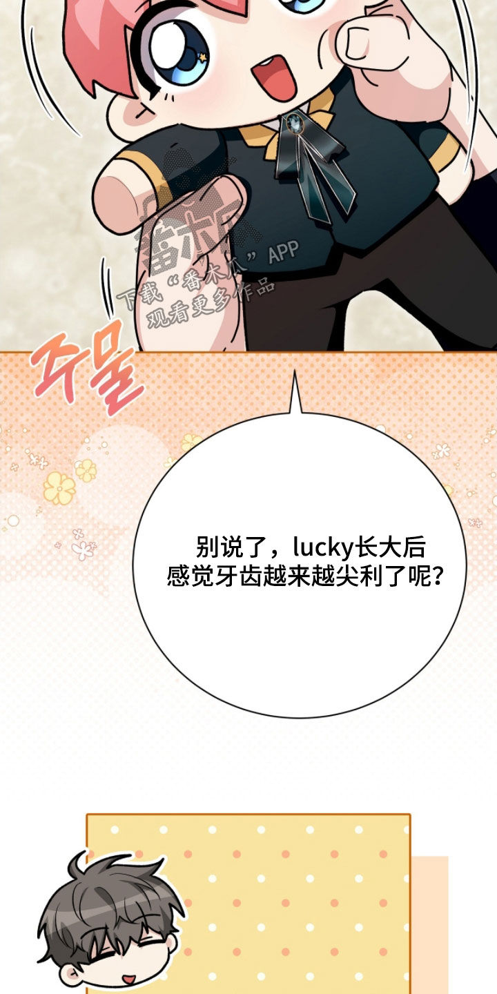 大型疯兔玩偶漫画,第54章：邀请函1图