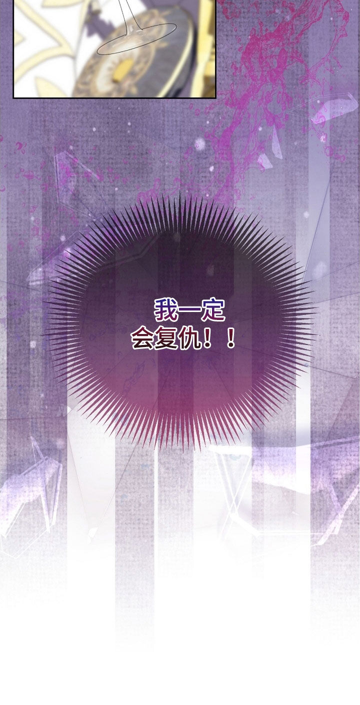 疯批大公的玩偶结局解析漫画,第51章：一定会复仇3图