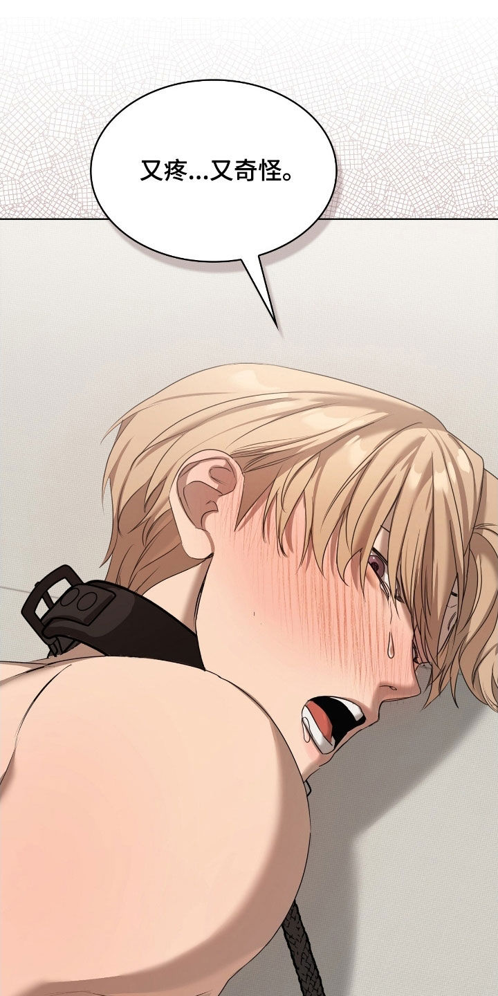 一对一聊天涉黄违法吗漫画,第37章：适合你的样子2图