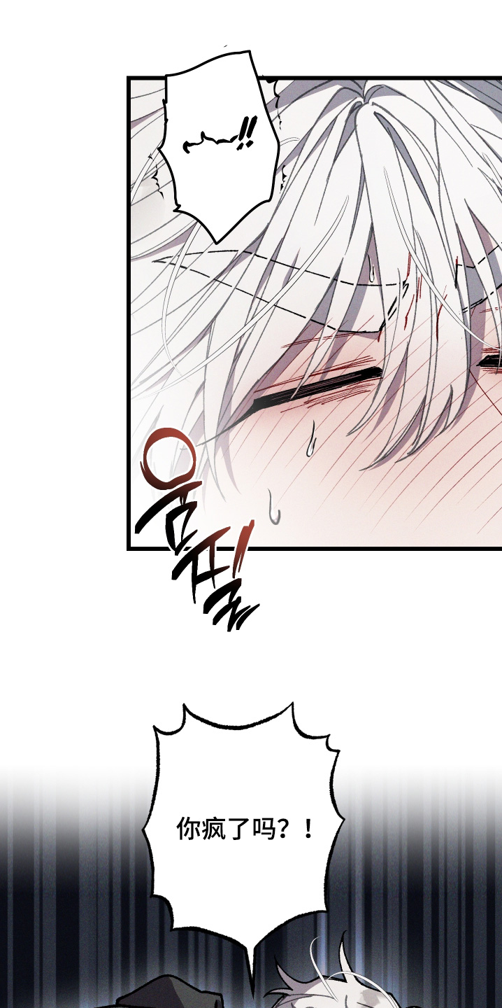 命运的名字漫画,第38章：你疯了5图