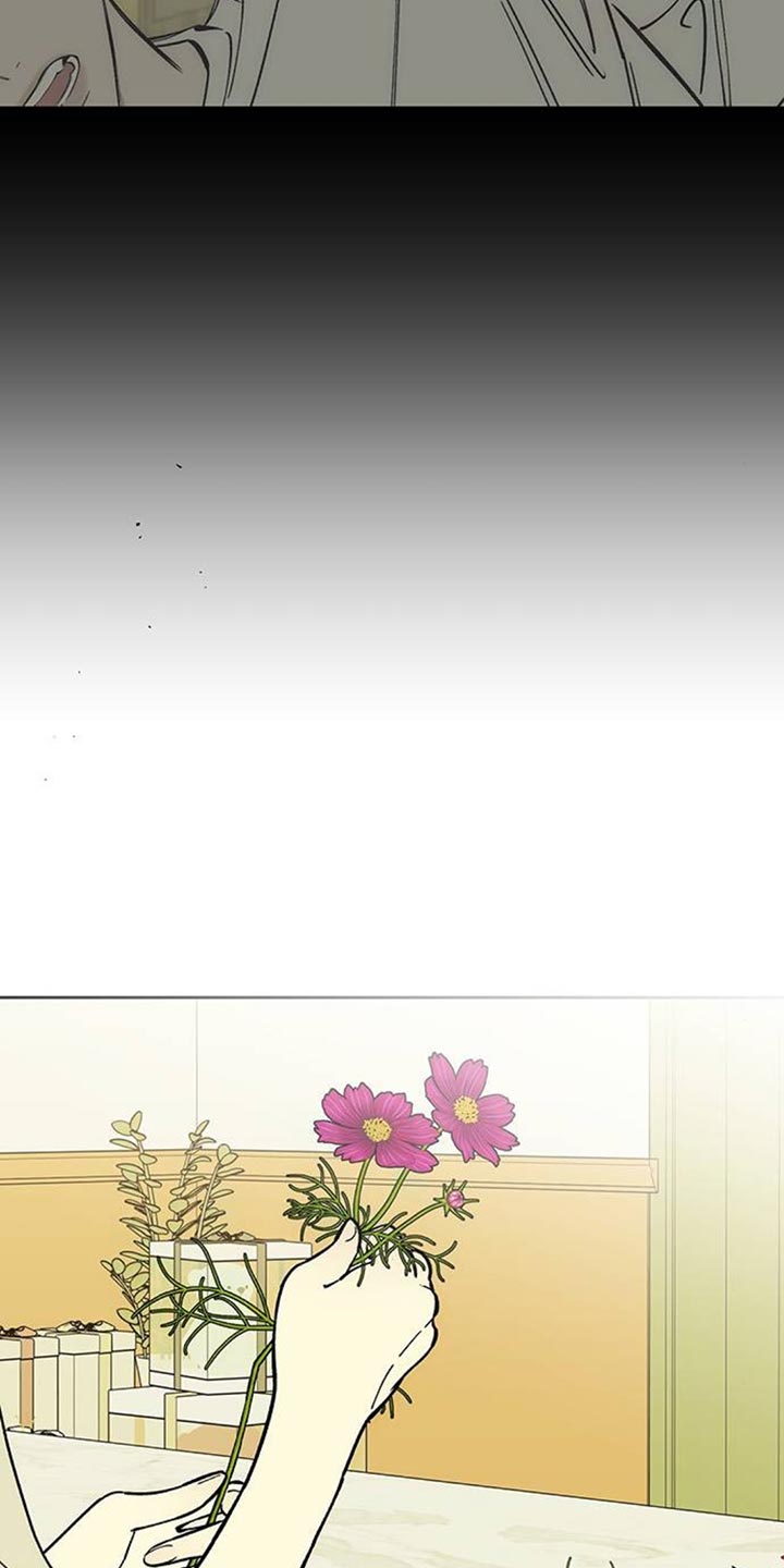 枯萎的花伤心的泪漫画,第137章：我不打算给你3图