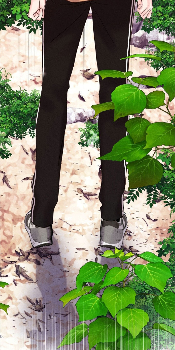 雨无痕漫画全集漫画,第39章：守备森严5图