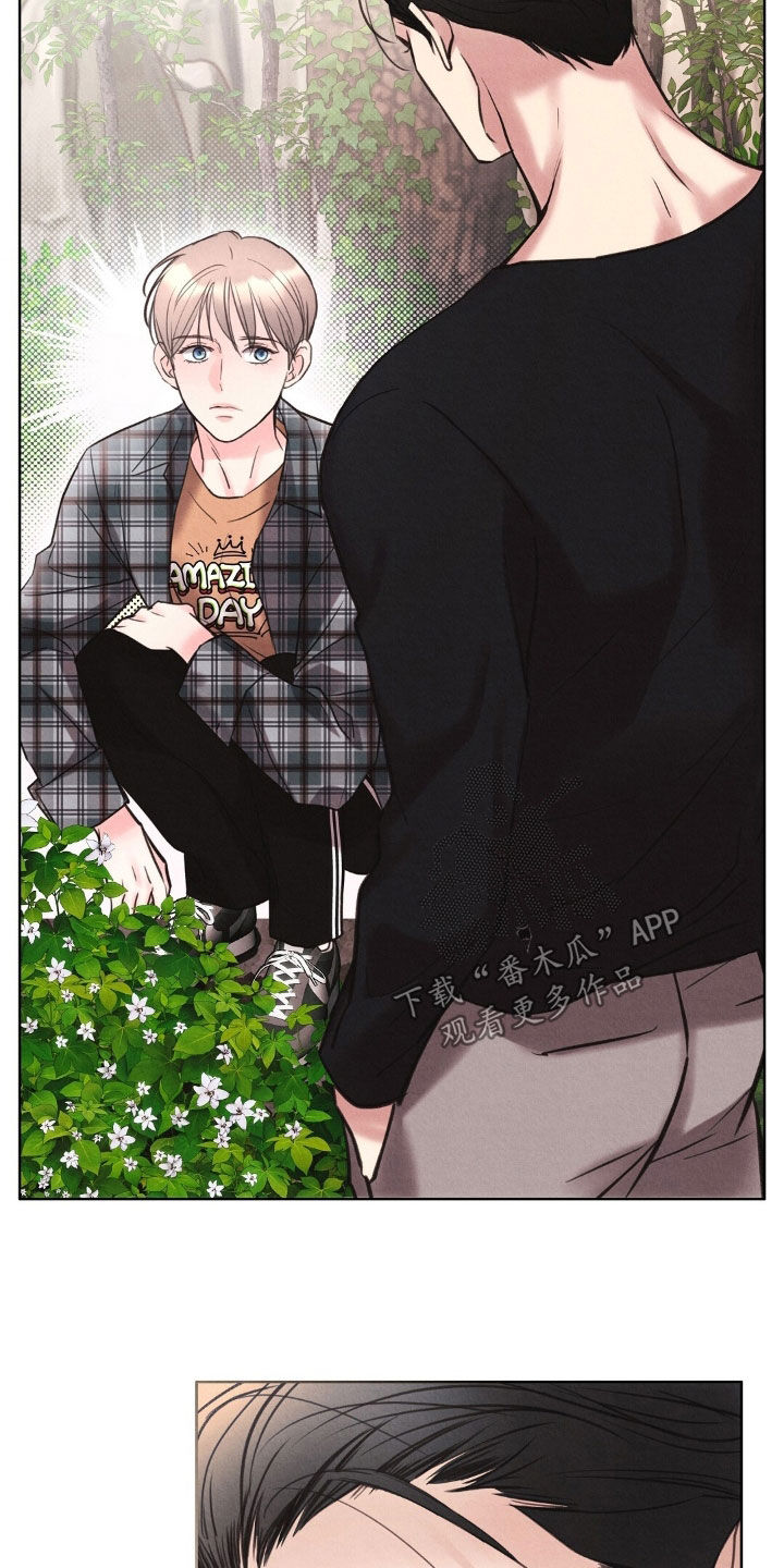 雨无痕漫画免费版在线阅读漫画,第40章：不喜欢5图