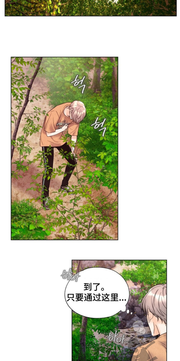 雨无痕漫画全集漫画,第39章：守备森严1图