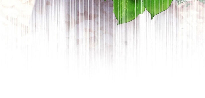 雨无痕漫画全集漫画,第39章：守备森严1图