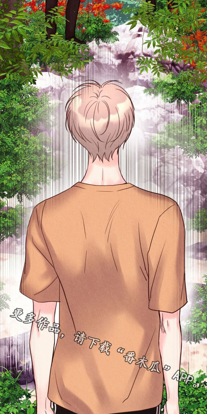 雨无痕漫画全集漫画,第39章：守备森严4图