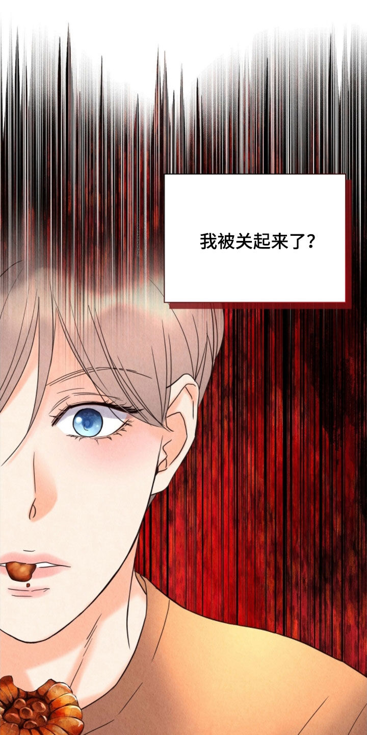 雨花石漫画,第39章：守备森严2图