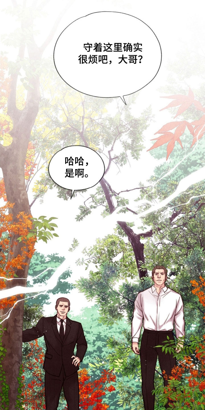 雨无痕漫画全集漫画,第39章：守备森严3图