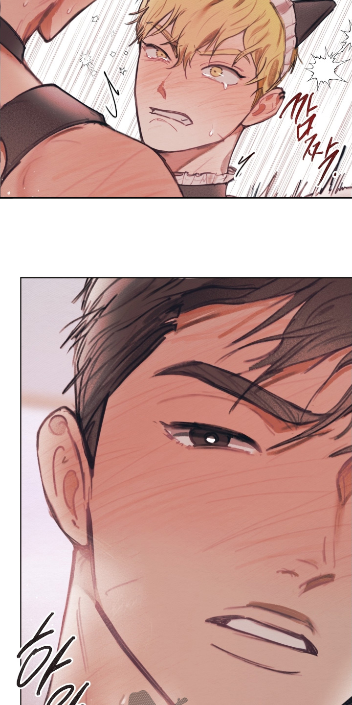 我的完美男人的演员漫画,第28章：穿给你看5图