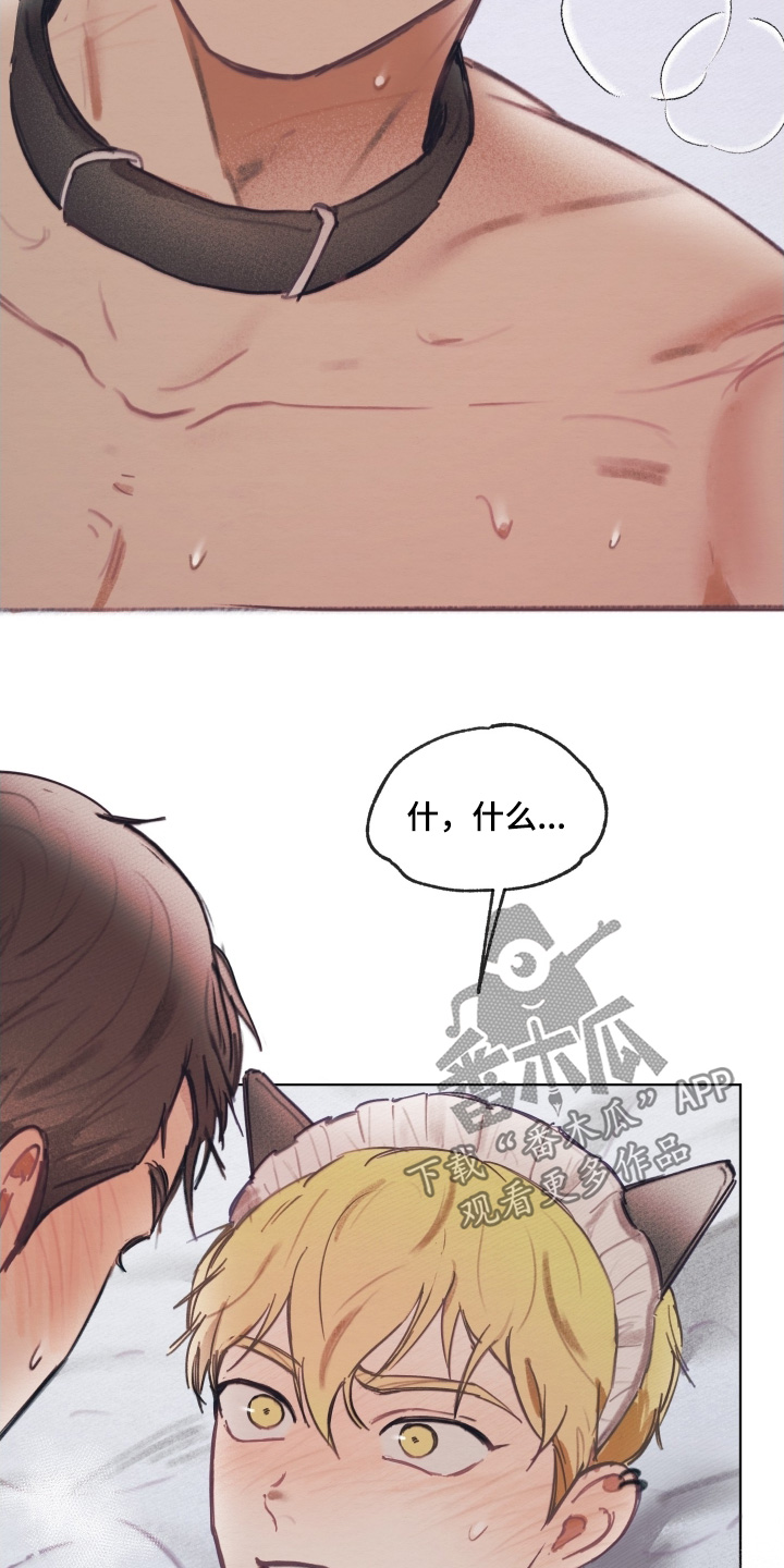 我的完美男人的演员漫画,第28章：穿给你看3图