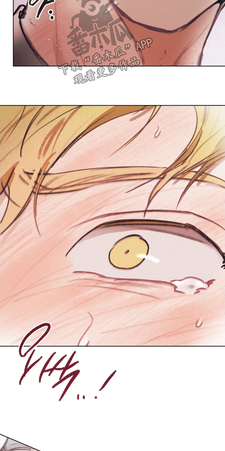 我的完美男人的演员漫画,第28章：穿给你看1图