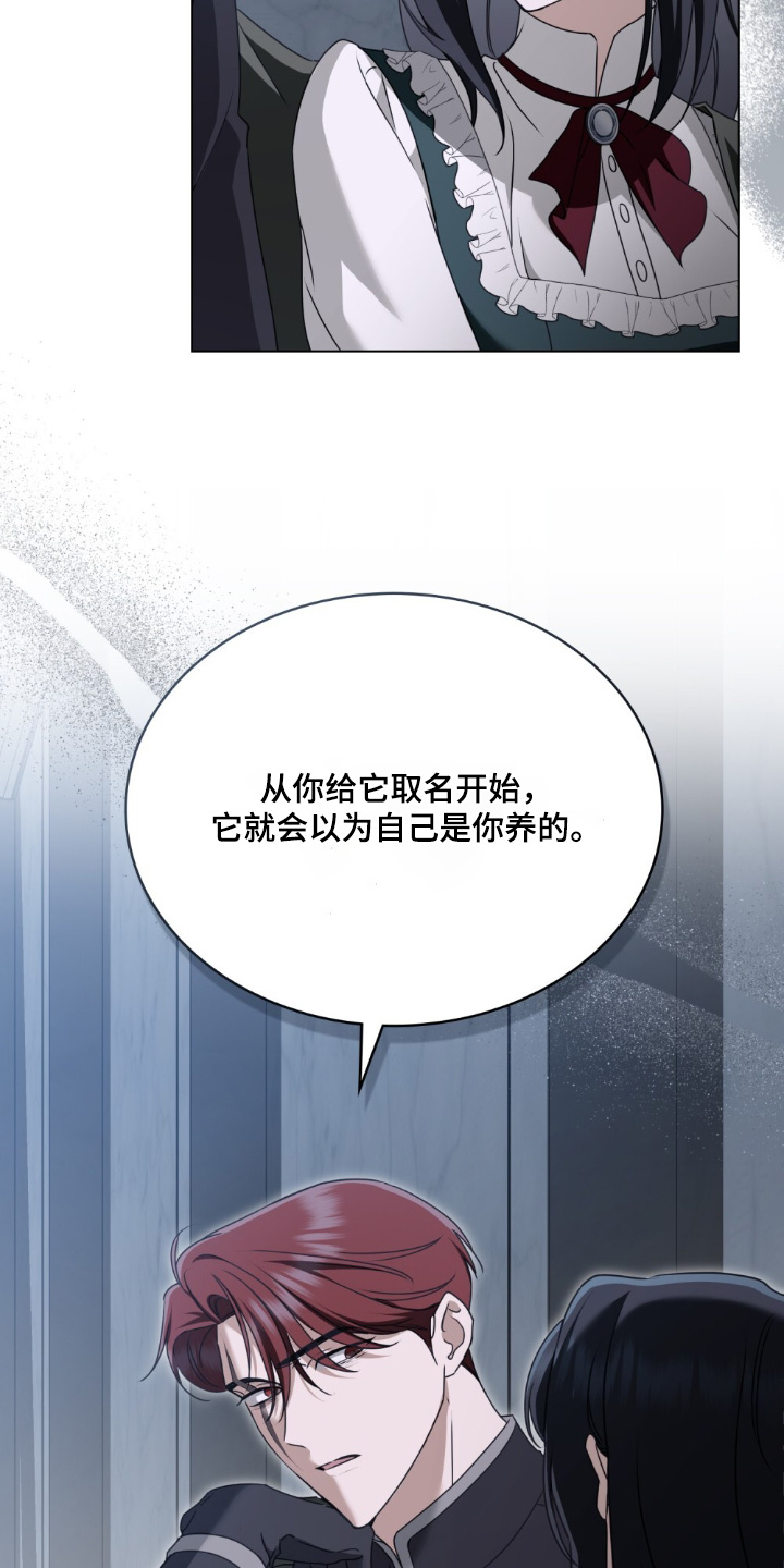 怪物女孩对战漫画,第36章：喜欢猫4图