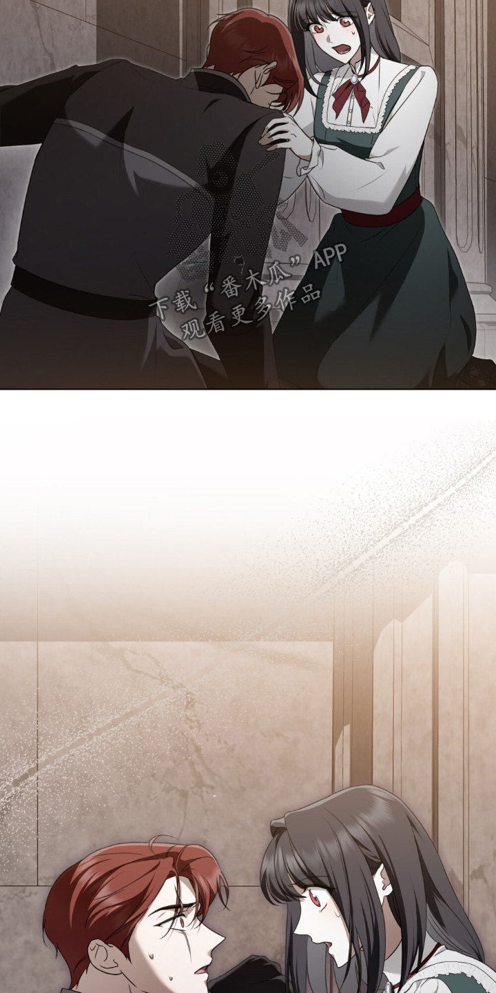 怪物女士与圣骑士漫画,第35章：你没事吧2图