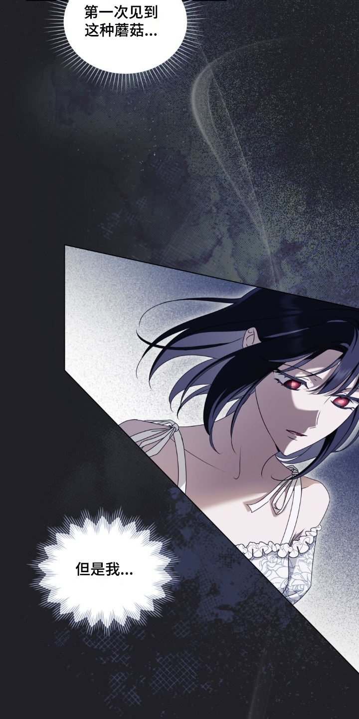 第37章：幻想4