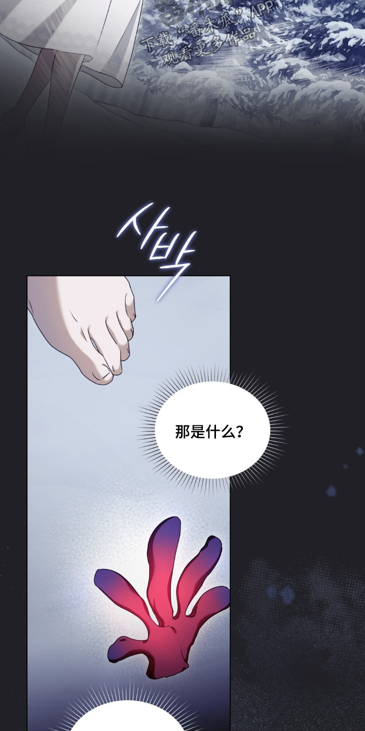 第37章：幻想3