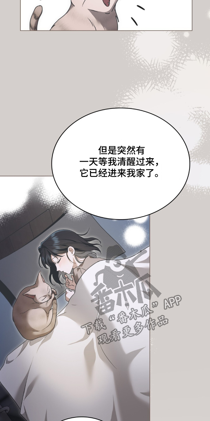 怪物女孩对战漫画,第36章：喜欢猫1图