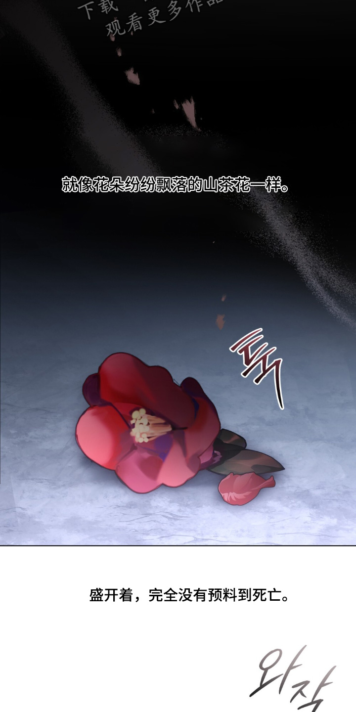 怪物女孩对战漫画,第36章：喜欢猫2图