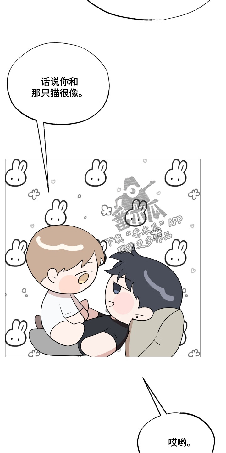 双面对话框漫画,第31章：为什么生气1图