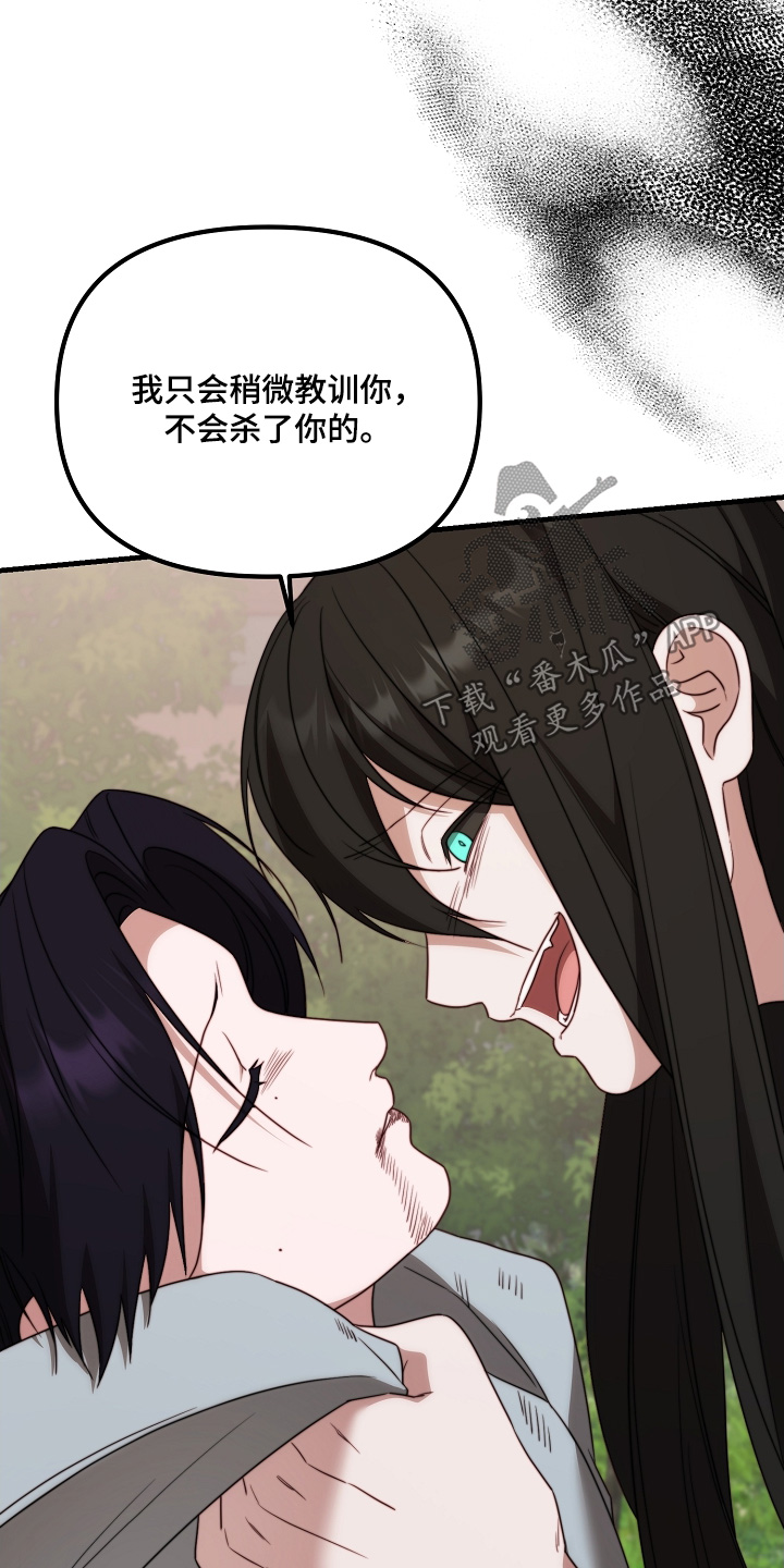 傀儡协战玩法技巧漫画,第29章：教训3图