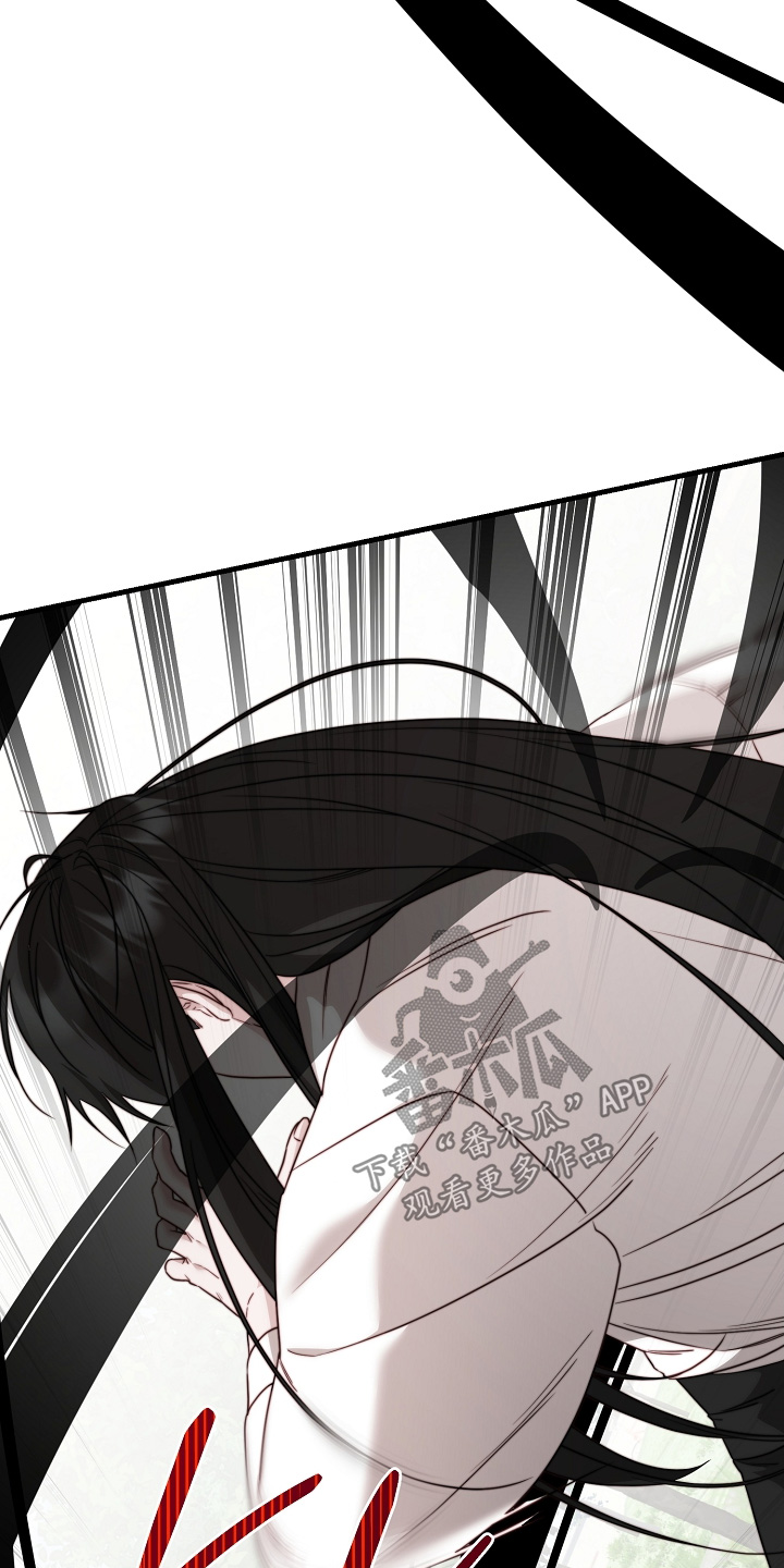 傀儡协战玩法技巧漫画,第29章：教训5图