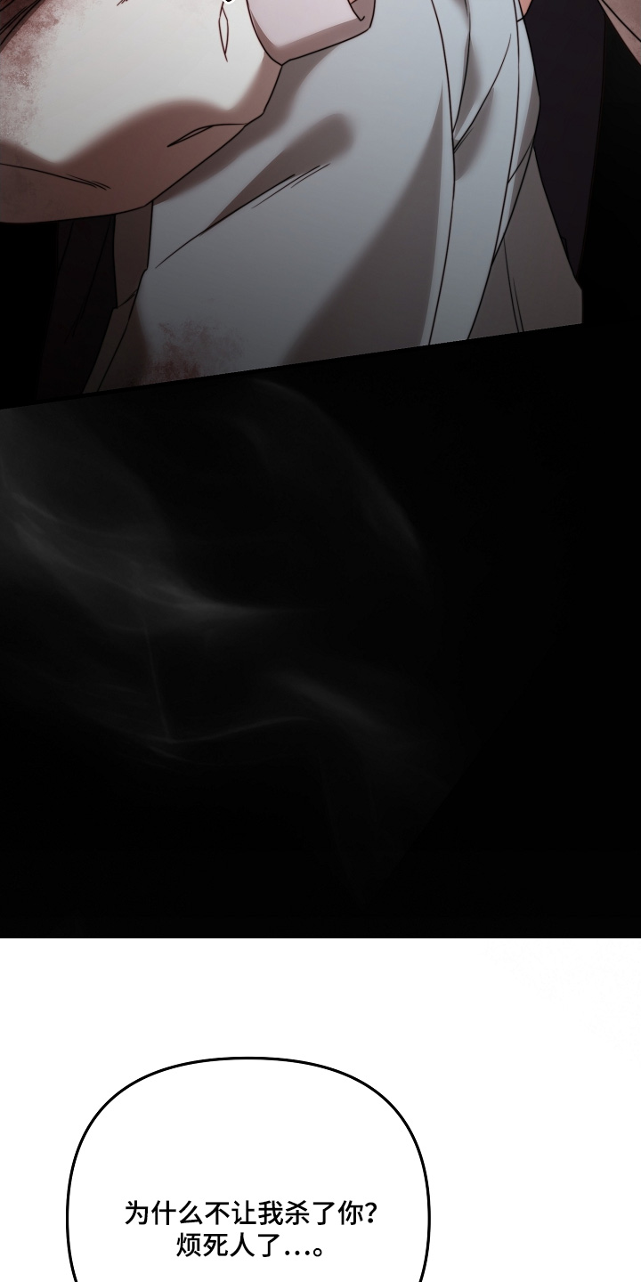 傀儡协战玩法技巧漫画,第29章：教训3图