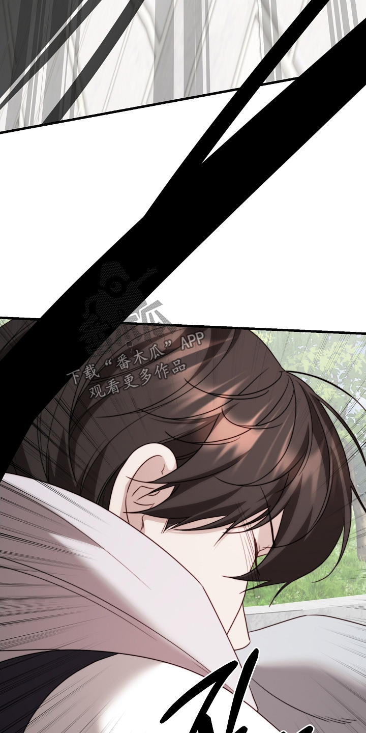 傀儡协战玩法技巧漫画,第29章：教训3图