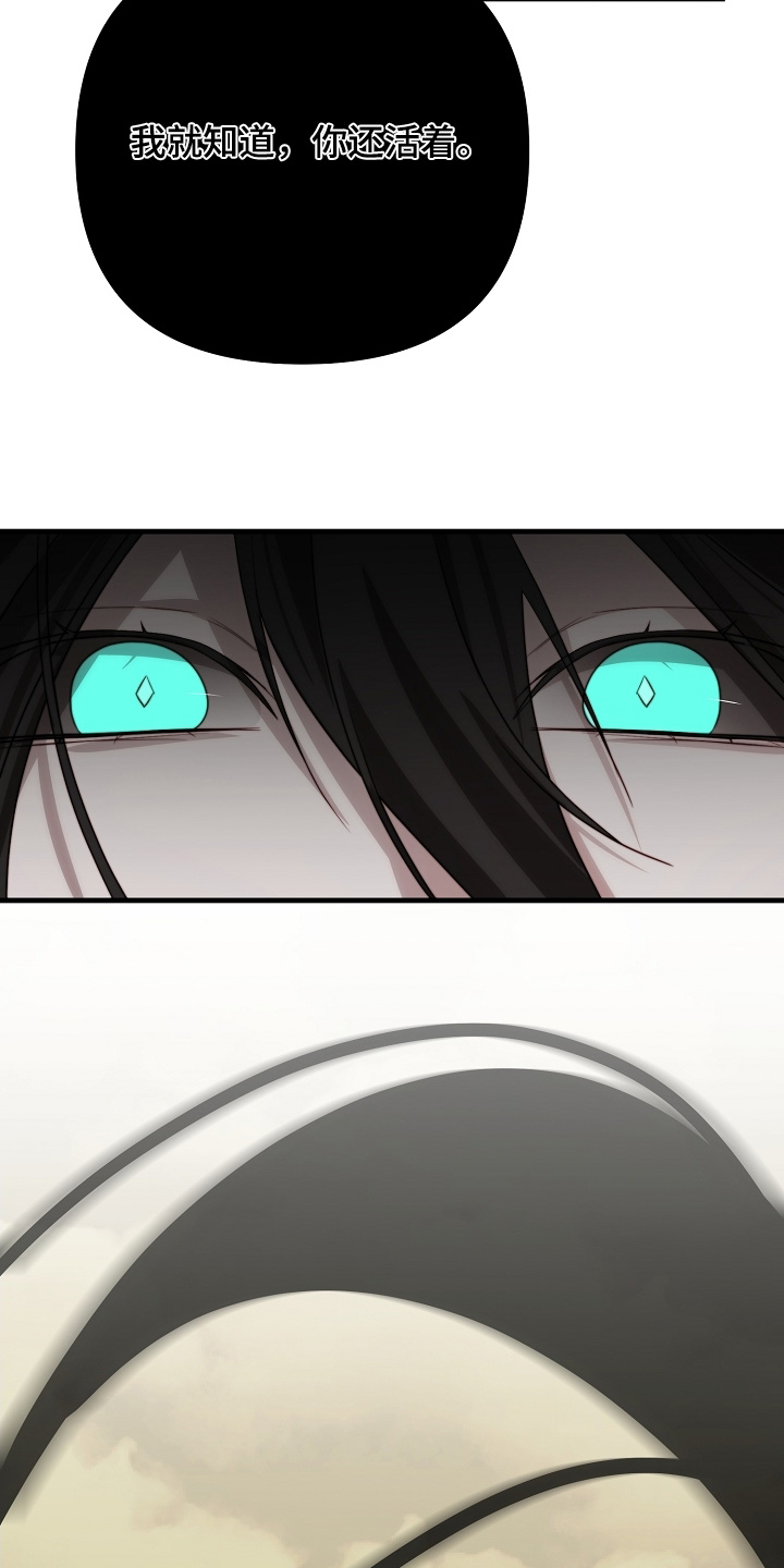 傀儡协战玩法技巧漫画,第28章：你没事吧1图