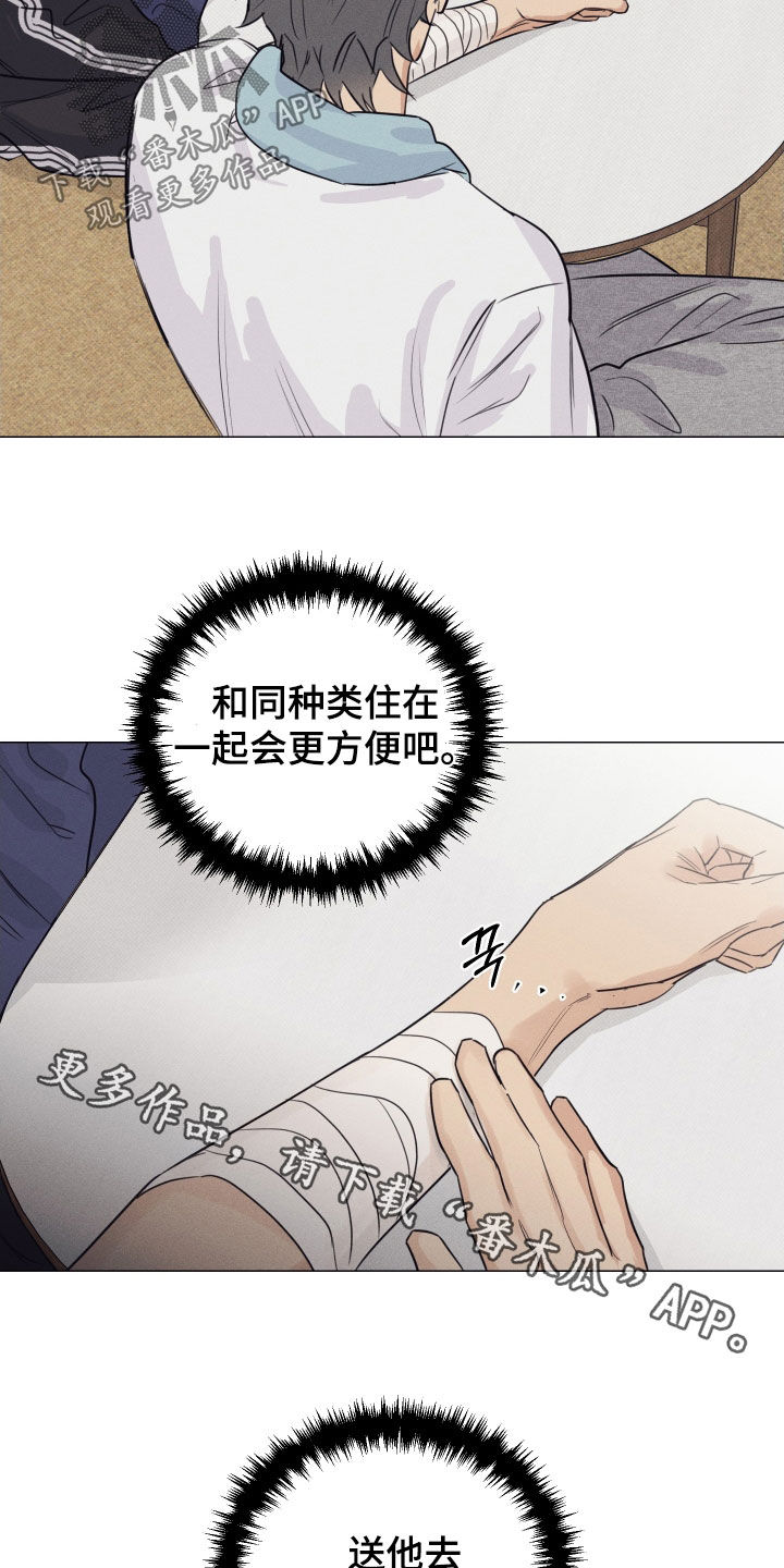 寒夜温暖人心的句子漫画,第29章：延期请求2图