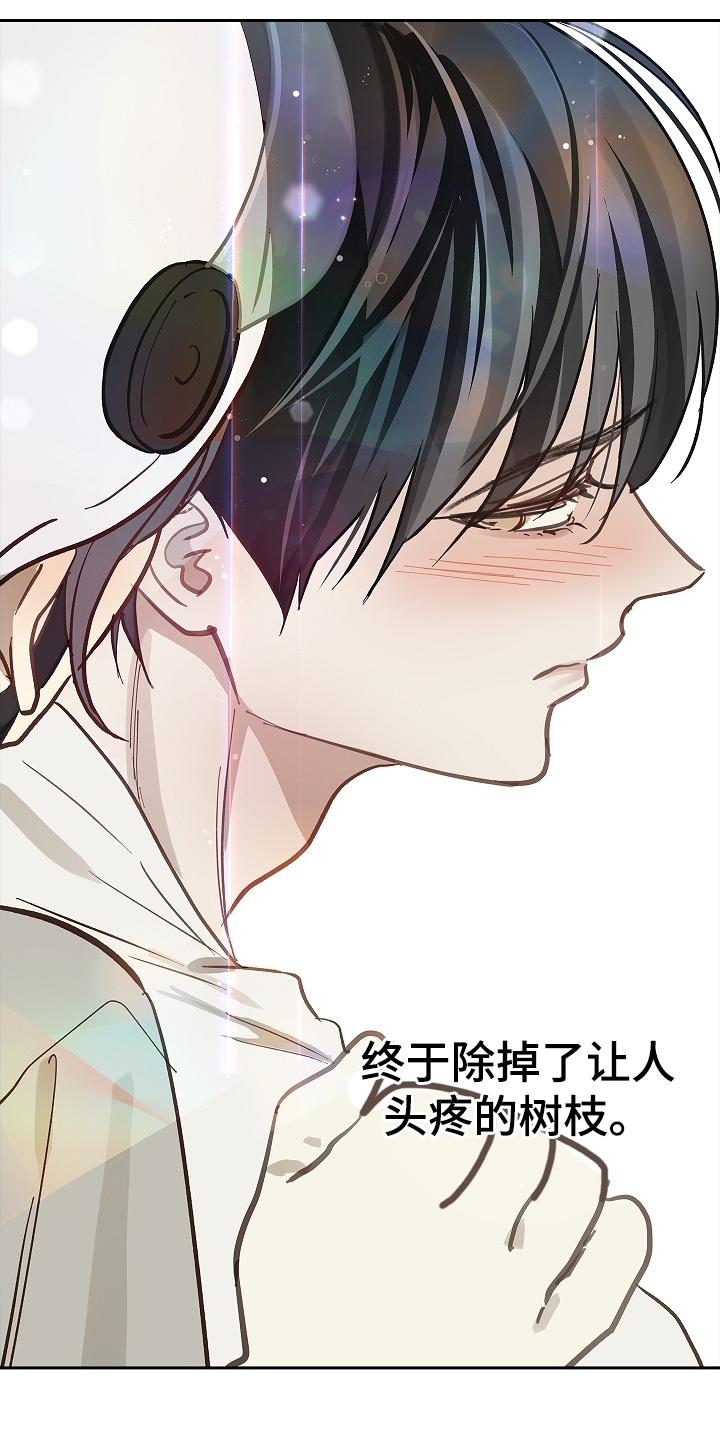 花是诱饵原著小说TXT漫画,第69章：成功了3图