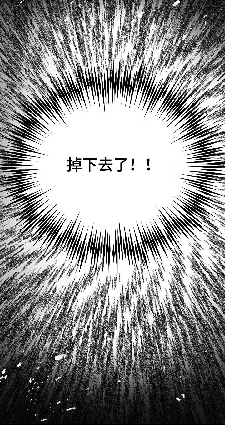 花是诱饵相关视频漫画,第66章：掉下去3图