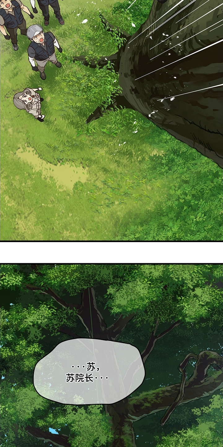 花是诱饵相关视频漫画,第66章：掉下去2图