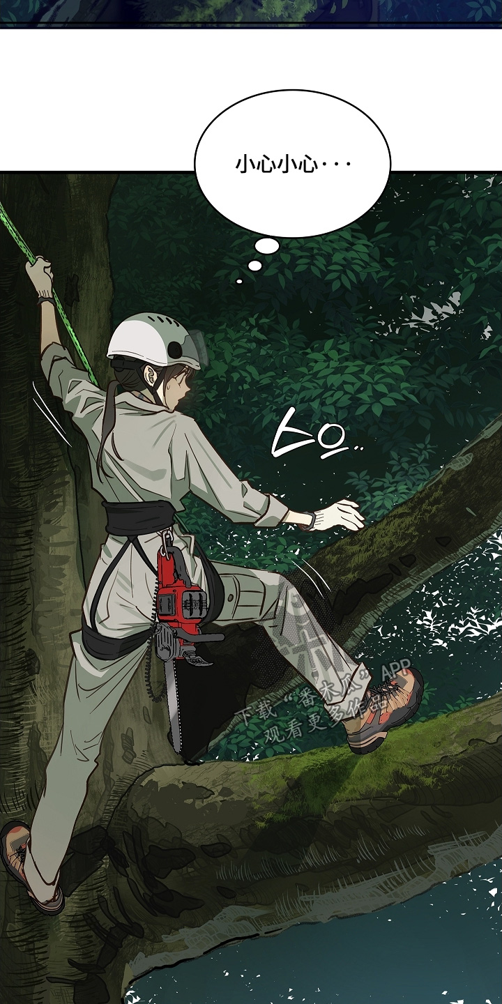 花是诱饵相关视频漫画,第66章：掉下去3图