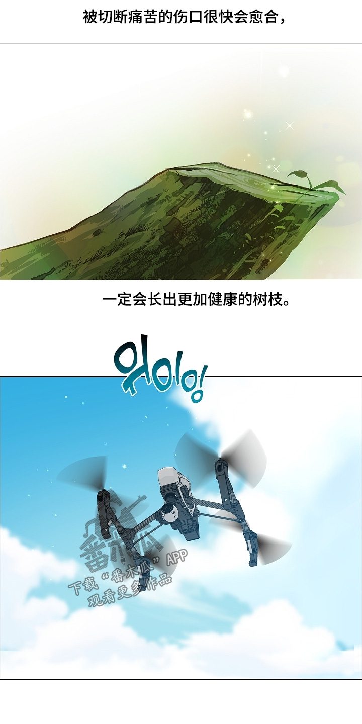 花是诱饵原著小说TXT漫画,第69章：成功了4图