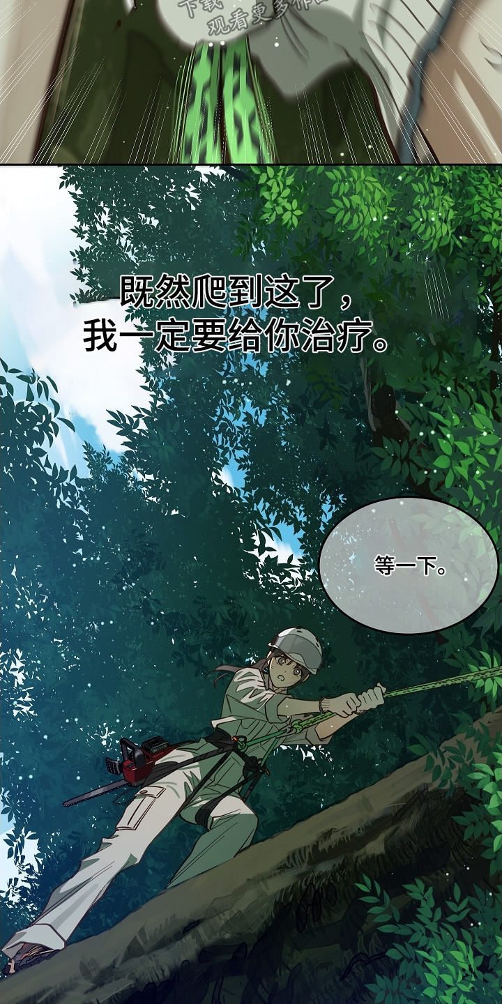 花是诱饵相关视频漫画,第66章：掉下去1图