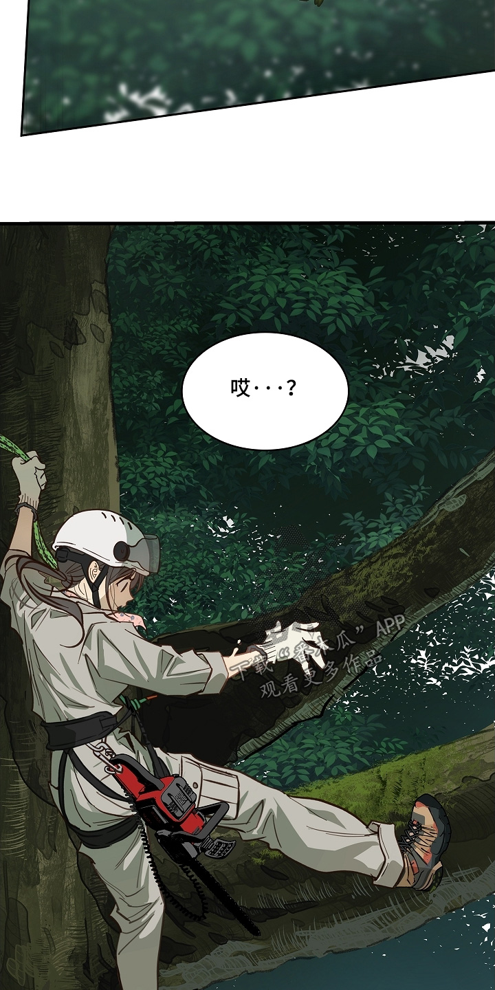 花是诱饵相关视频漫画,第66章：掉下去5图