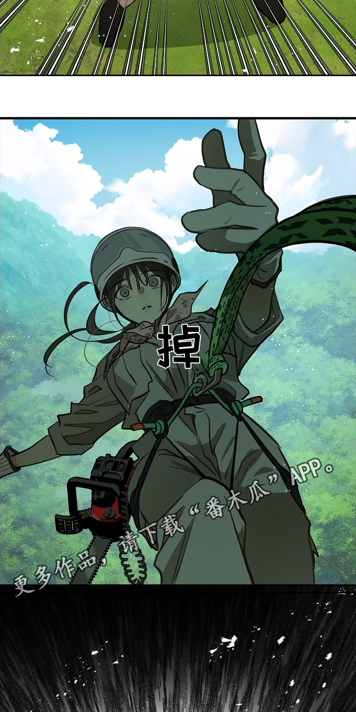 花是诱饵相关视频漫画,第66章：掉下去2图