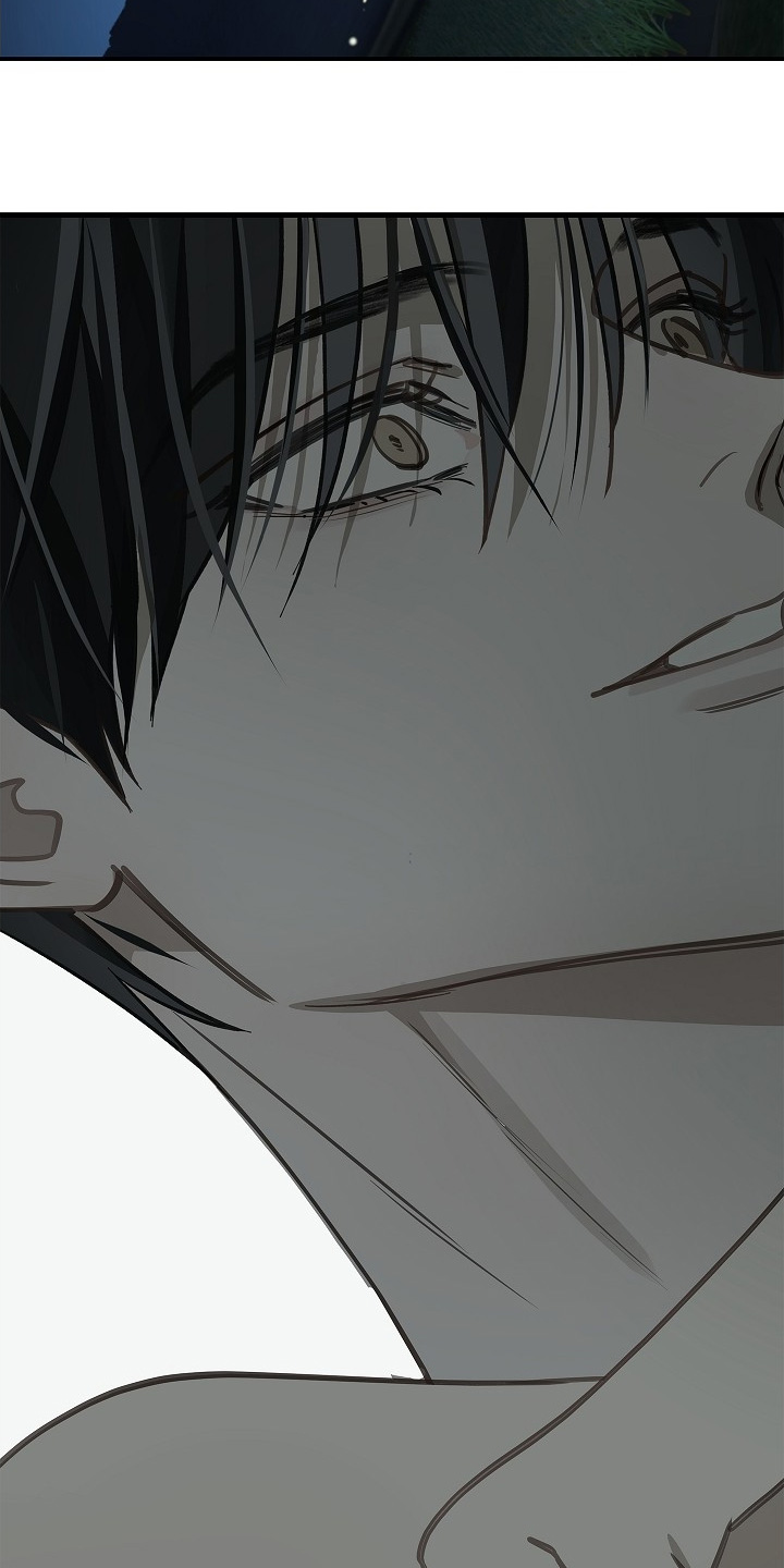 花是诱饵漫画在线看免费版在线看漫画,第70章：都我来喝3图