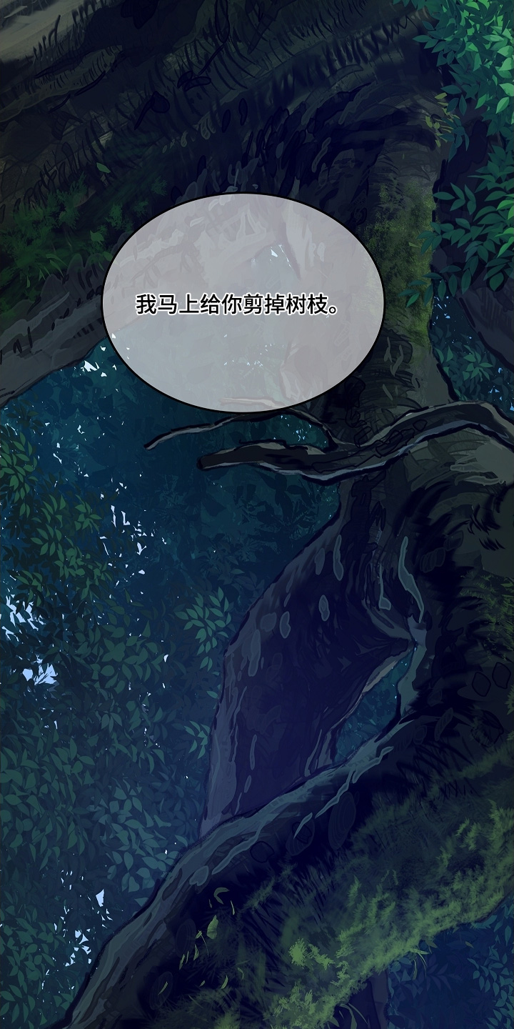 花是诱饵相关视频漫画,第66章：掉下去2图