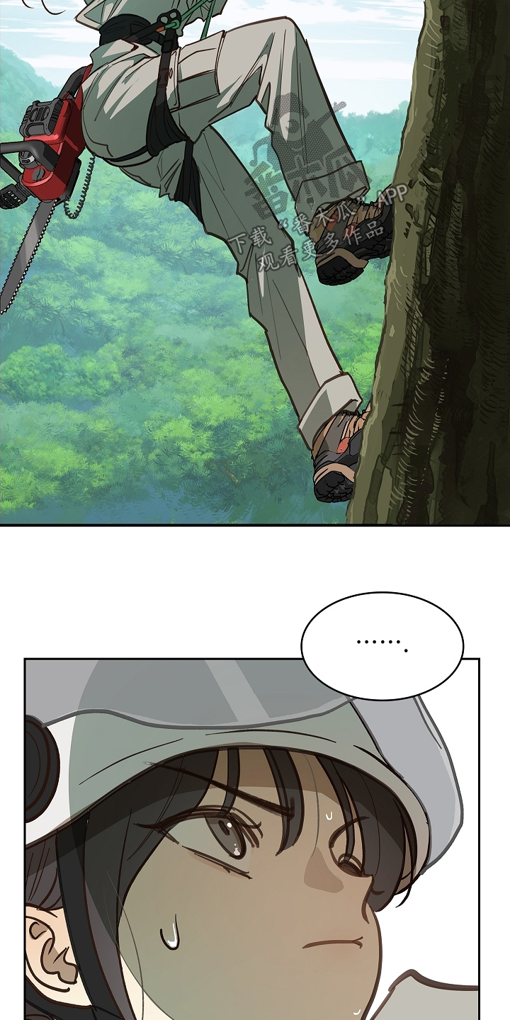 花是诱饵相关视频漫画,第66章：掉下去1图