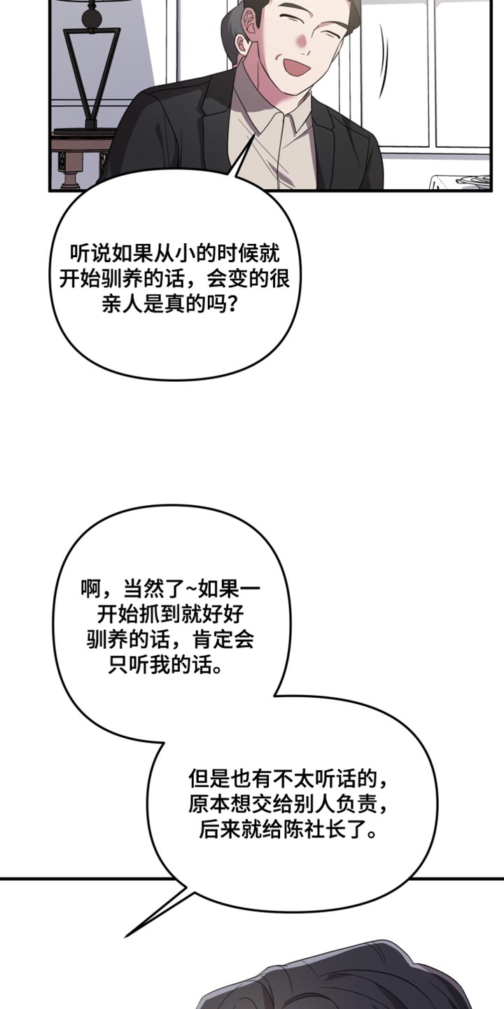 猛宠旧情漫画,第33章：挑战1图
