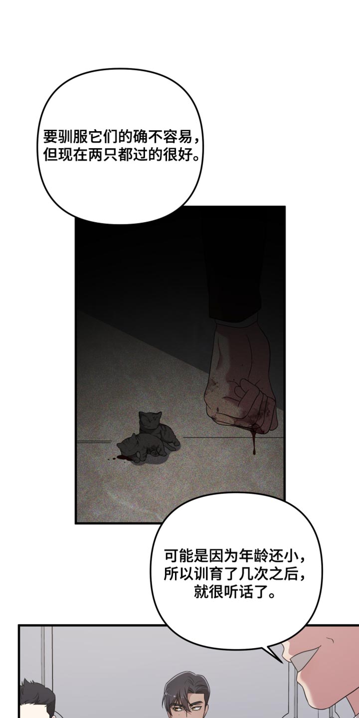 猛宠旧情漫画,第33章：挑战3图