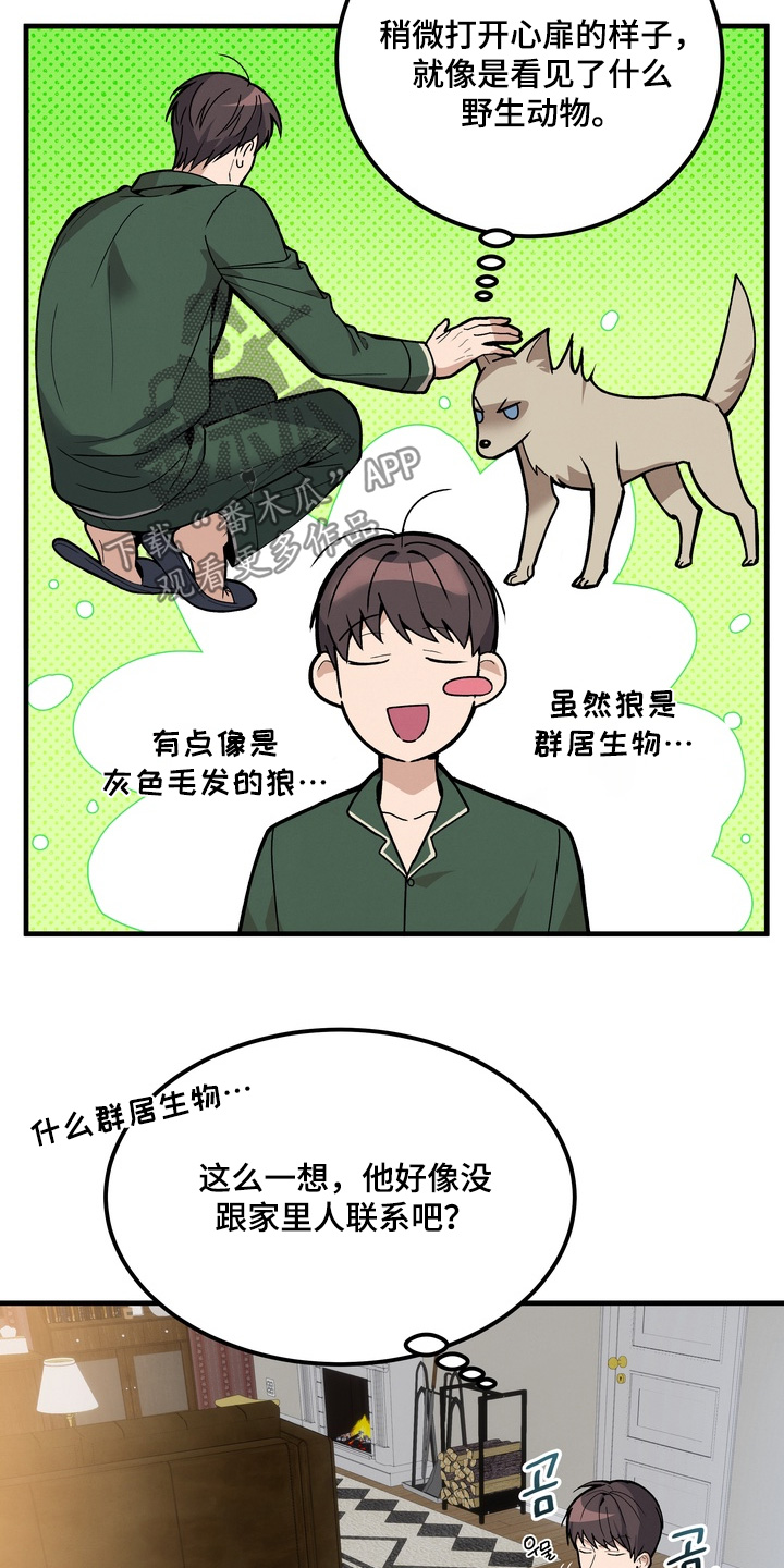 不幸的参数漫画,第17章：好奇2图