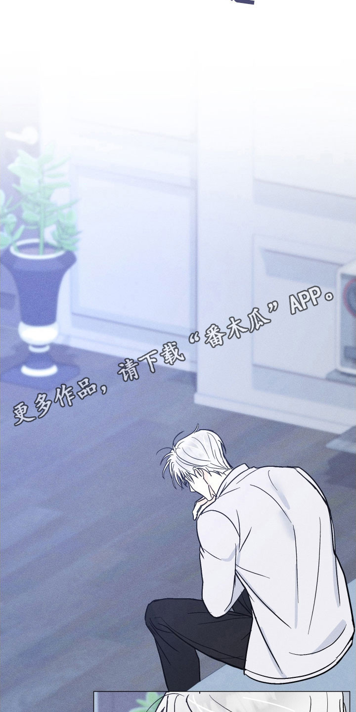 逆光而来的你漫画,第16章：让他上钩3图