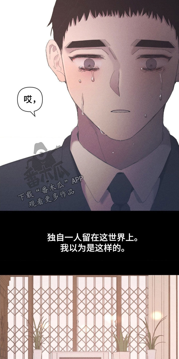 死限情书漫画,第20章：我还有你5图