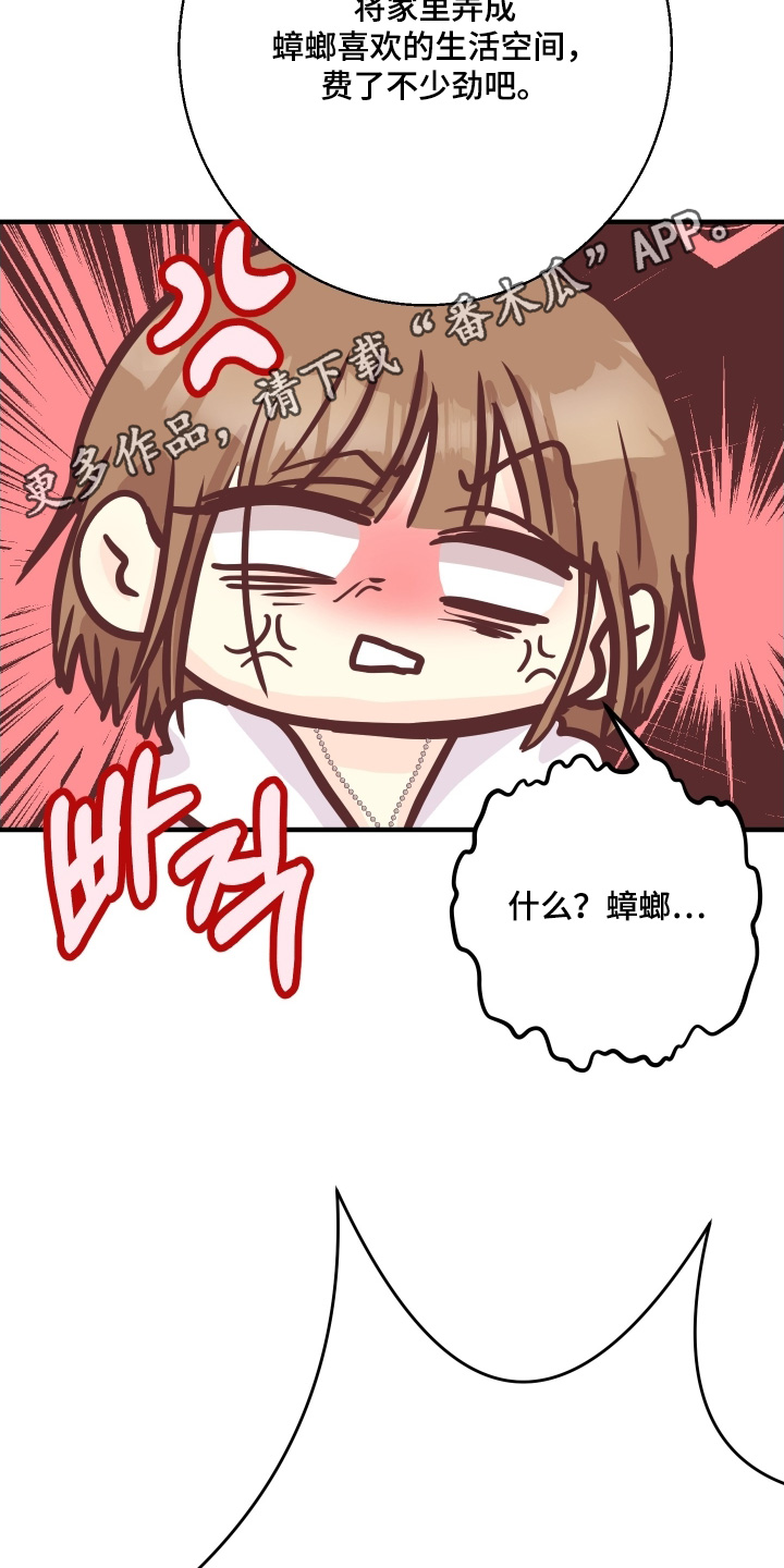 乡下未婚夫漫画,第27章：坐下来吃一点5图